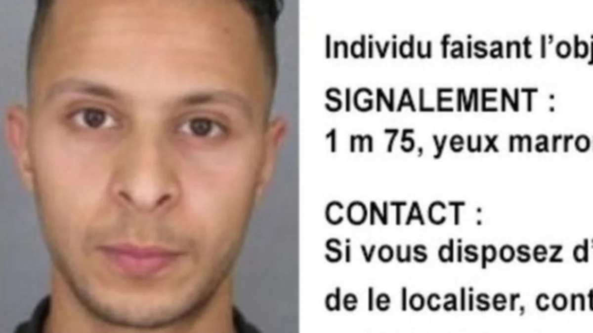 Paris attacks suspect Abdeslam 'will not fight extradition'
