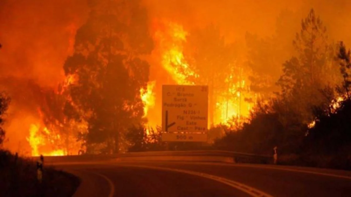 Yunanıstanda meşə yanğını tüğyan edir