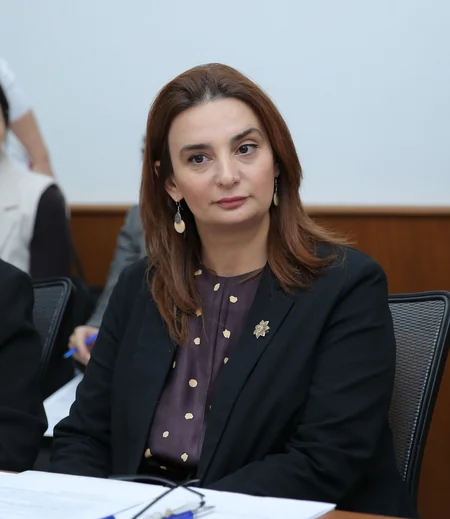 Bahar Muradova: Son beş ildə məişət zorakılığı ilə bağlı müraciətlərin sayı 3,3 dəfə artıb
