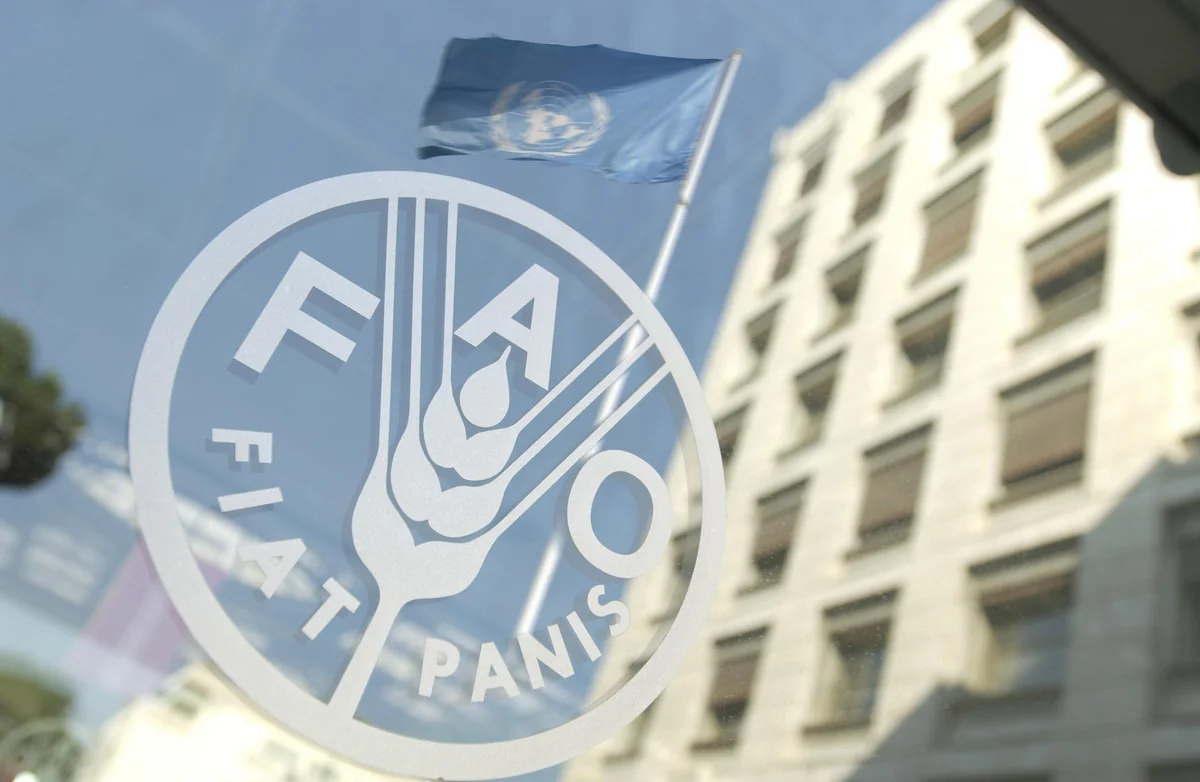 FAO-nun dəstəyilə Azərbaycanda balıqçılıqla bağlı layihənin icrası başlayır