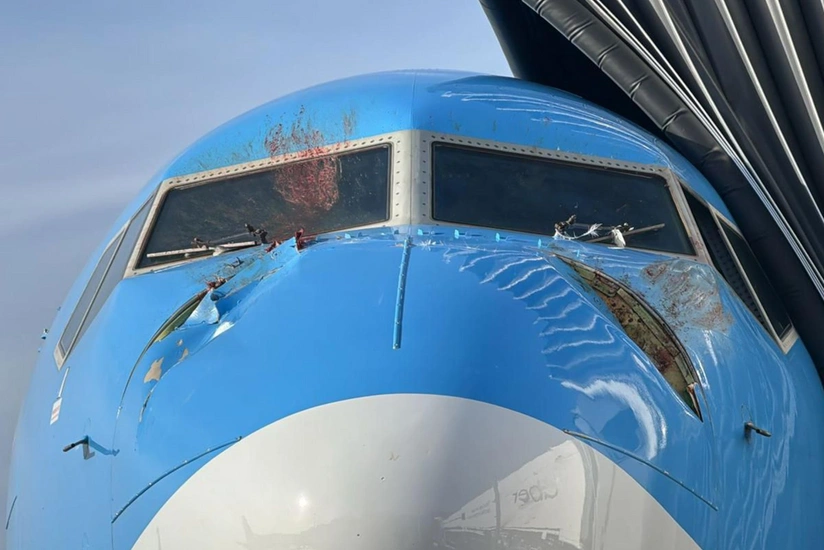 UK plane forced into emergency landing after swans smash into windscreen