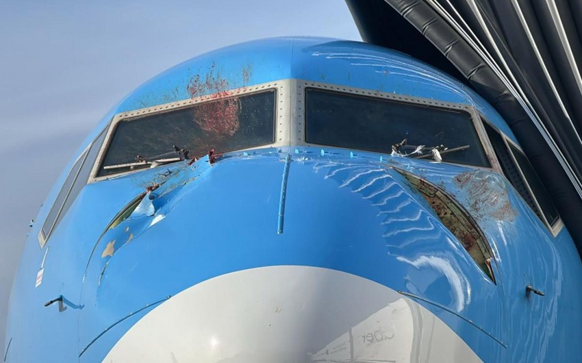 UK plane forced into emergency landing after swans smash into windscreen