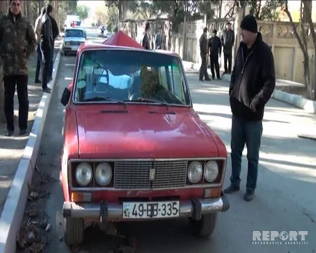 Naftalanda avtomobilin üzərinə ağac aşıb, yolda hərəkət dayanıb - FOTO