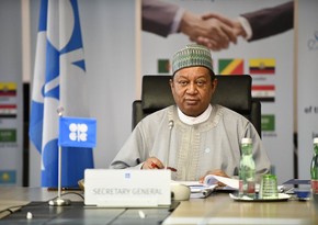 OPEC’s Barkindo: New COVID variants affected situation in oil market
