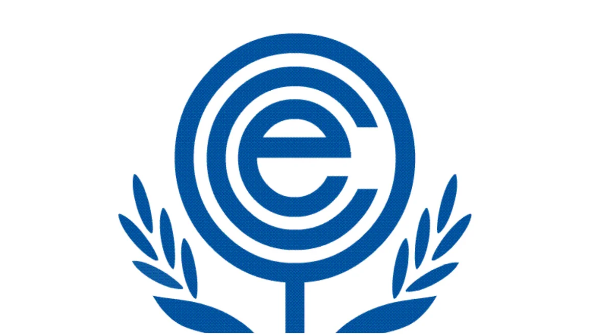 14th ECO summit kicks off virtually