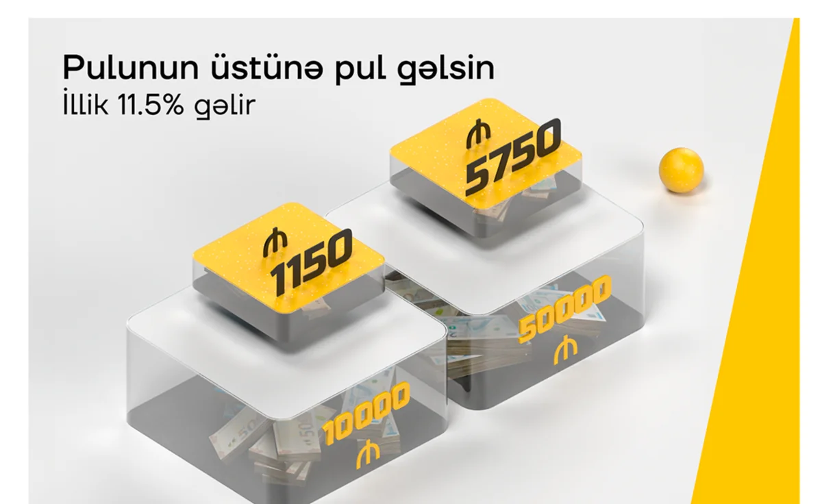 Pulunuzun etibarlı artımı üçün nə etməli?