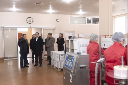 Məcnun Məmmədov Bakı və Abşerondakı müəssisələrin fəaliyyəti ilə tanış olub