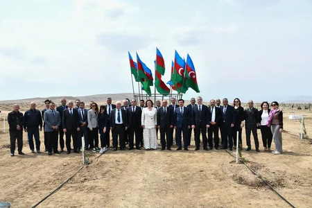 ANAMA Heydər Əliyevin 100 illik yubileyi ilə əlaqədar ağacəkmə aksiyası keçirib