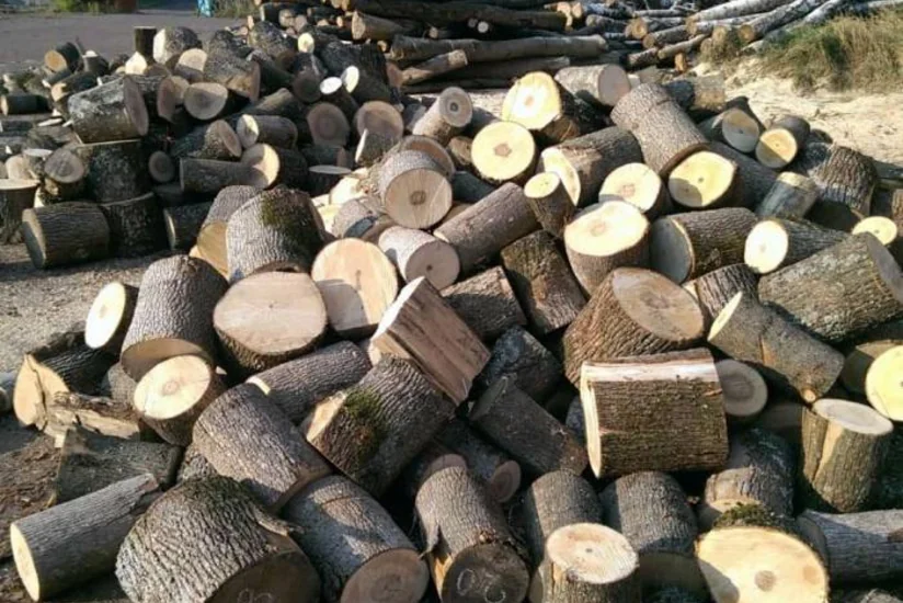 Oduncaq tədarükünə başlanılıb
