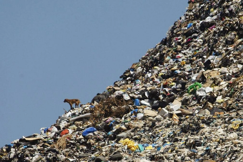 Qəbələdəki ərazi məişət tullantılarından təmizlənir