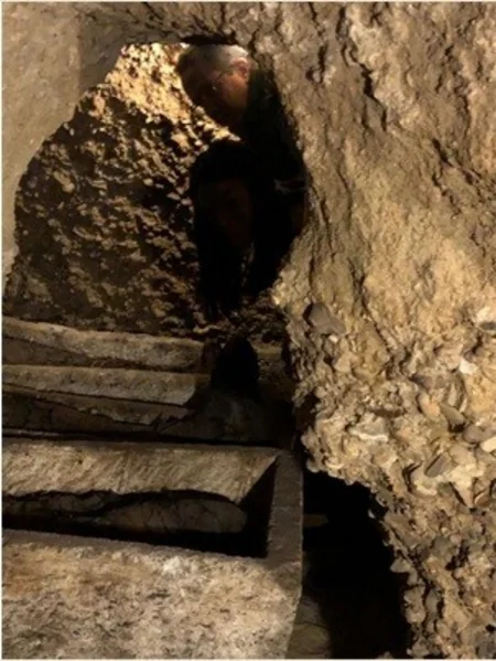 Misirdə 50 mumiyanın olduğu qədim məqbərə aşkarlanıb - FOTO