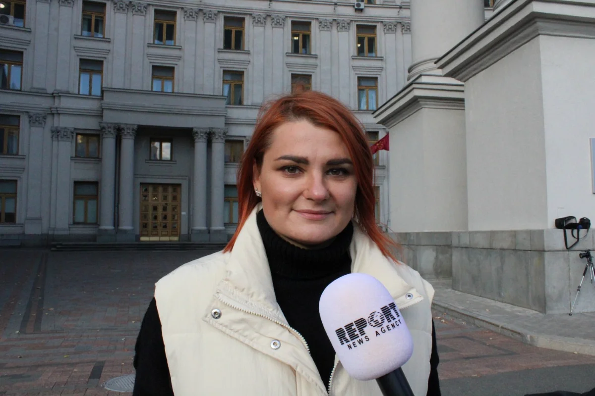 MP: Ukraine may suggest using 'green energy' in Karabakh