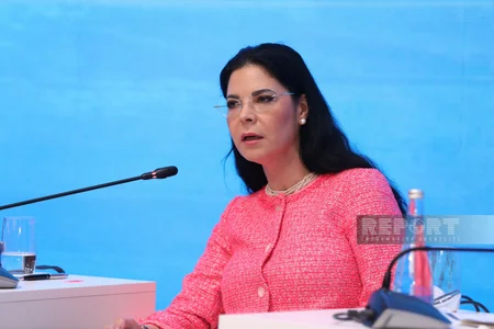 Bakı Forumu: Süni intellekt və dronlar əsrində yeni təhlükəsizlik paradiqması mövzusunda panel iclası keçirilib