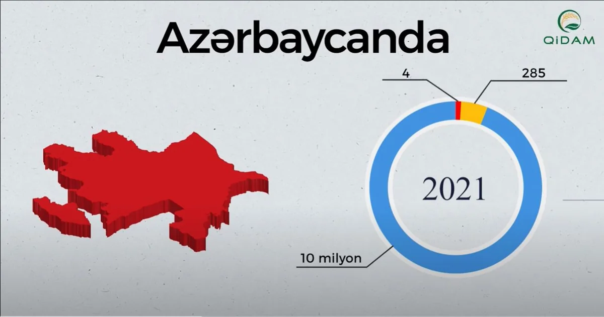 Qida zəhərlənmələrindən necə qorunmaq olar?