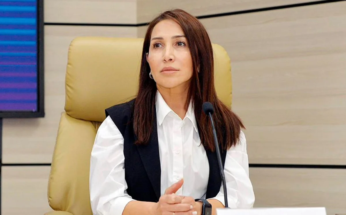 ETSN mövcud hava şəraiti ilə əlaqədar vətəndaşlara xəbərdarlıq edib