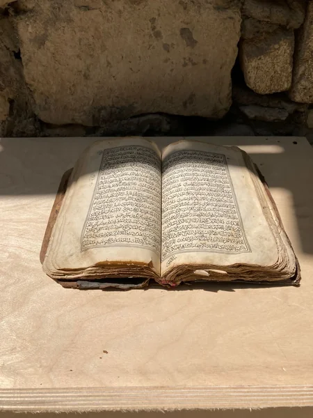 Mehriban Əliyeva Basqal qəsəbəsindən paylaşım edib