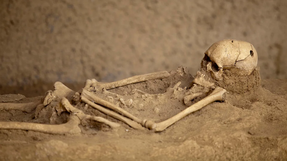 Xocalıda kütləvi məzarlıqda aşkar edilmiş insan qalıqlarının sayı 13-ə çatıb