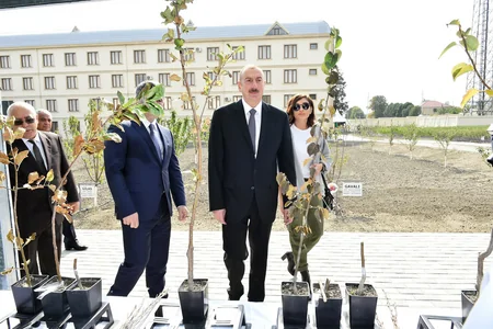 Prezident İlham Əliyev Qubada Meyvəçilik və Çayçılıq Elmi-Tədqiqat İnstitutunun tingçilik müəssisəsi ilə tanış olub - YENİLƏNİB