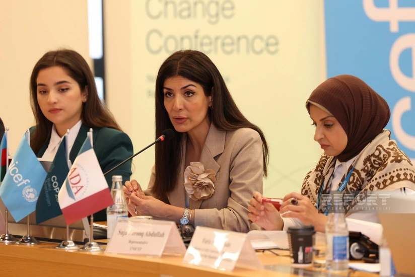 Nigar Arpadarai: Yaşıl keçid üçün trilyonlarla ABŞ dollarına ehtiyac var