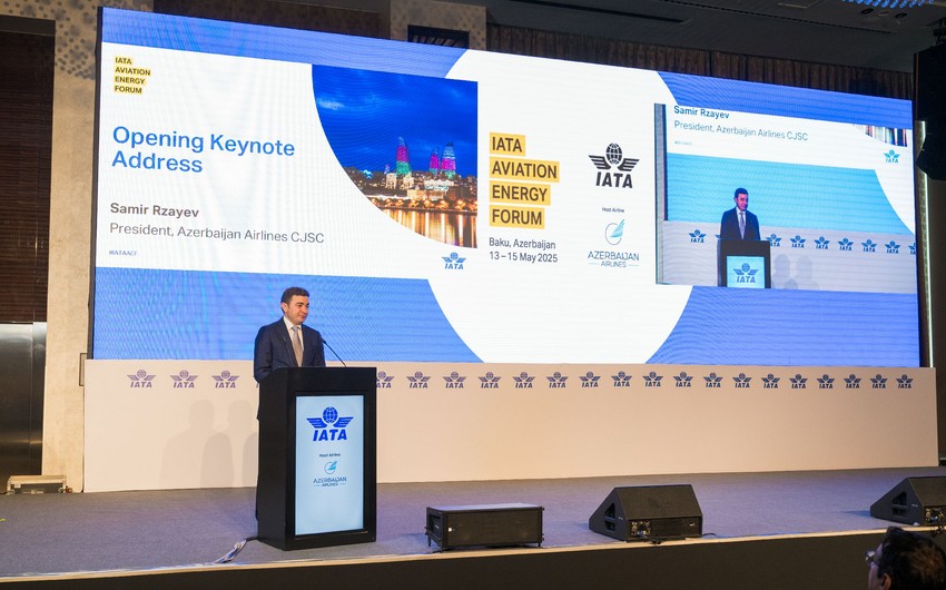 Samir Rzayev: Over 30 new generation aircraft will join Azerbaijani fleet by 2030