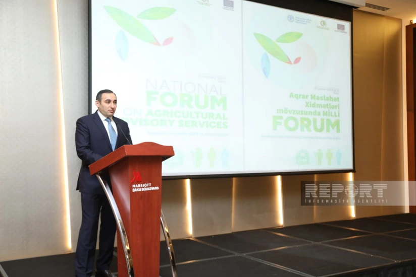 Nazir müavini: Məqsədimiz yüksək keyfiyyətli ərzaqlıq buğda istehsalıdır