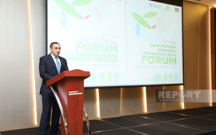 Nazir müavini: Məqsədimiz yüksək keyfiyyətli ərzaqlıq buğda istehsalıdır 