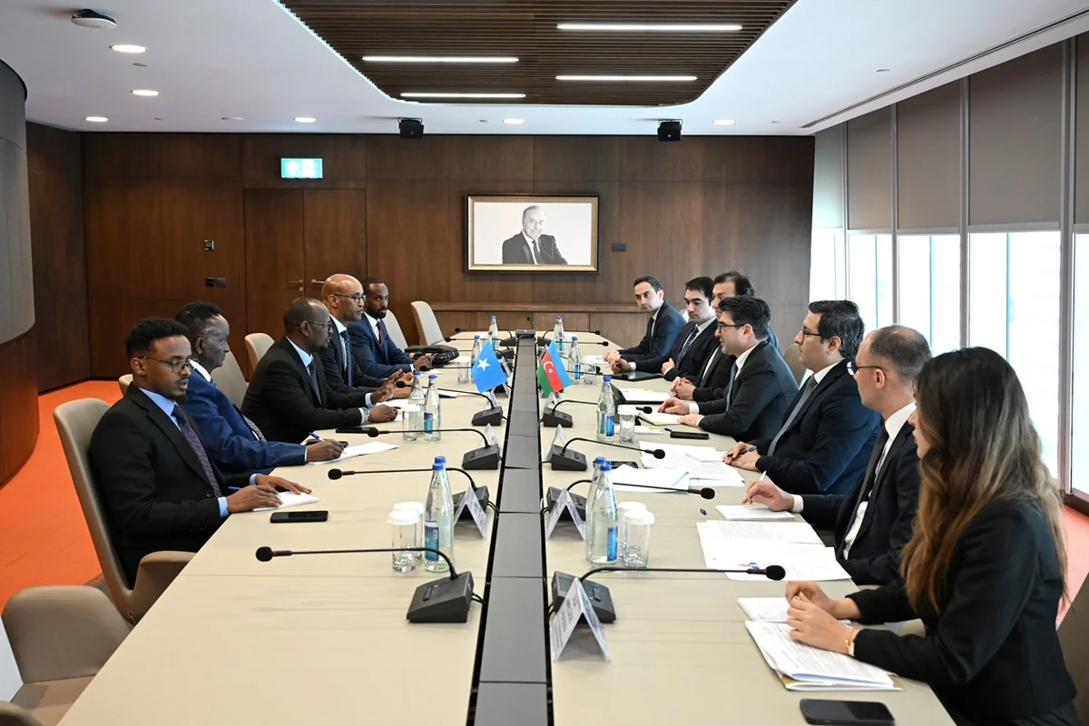 Azerbaijan and Somalia discuss energy cooperation