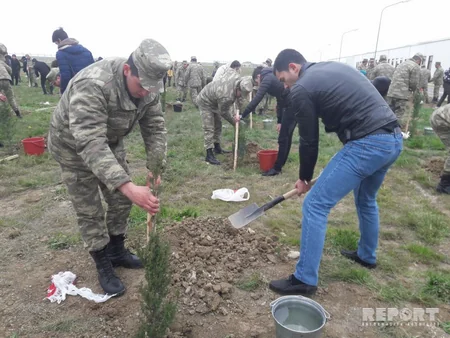 Müdafiə və Təhsil nazirlikləri Aprel zəfərindən ötən hər günə bir ağac əkək” devizi altında tədbir keçirib