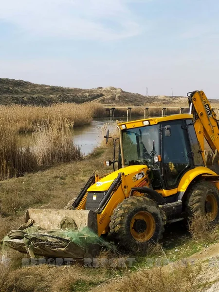 Salyanda qanunsuz balıq ovlayanlara qarşı reyd keçirilib - YENİLƏNİB