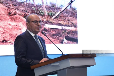 Bakıda “Gizli ölüm toxumları” kitabının təqdimatı olub