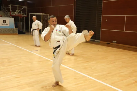 Karate üzrə ümumrespublika seminarı keçirilib