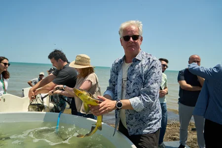 5000 endemic sturgeon fish released into the Caspian Sea as part of Azerbaijan Fish Farm and AZANS cooperation – PHOTO