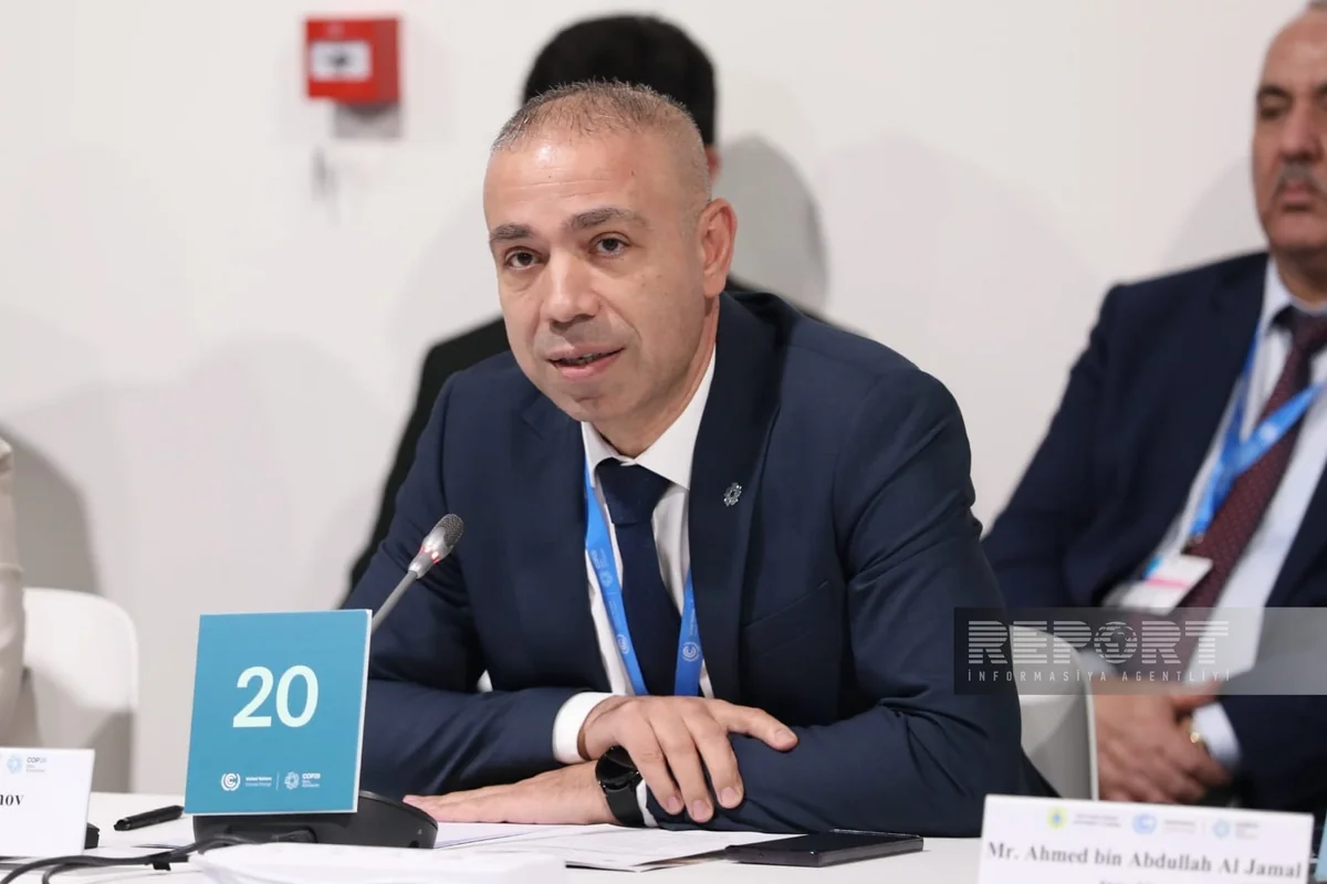Soltanov: Customs authorities may direct part of their revenue to environmental projects