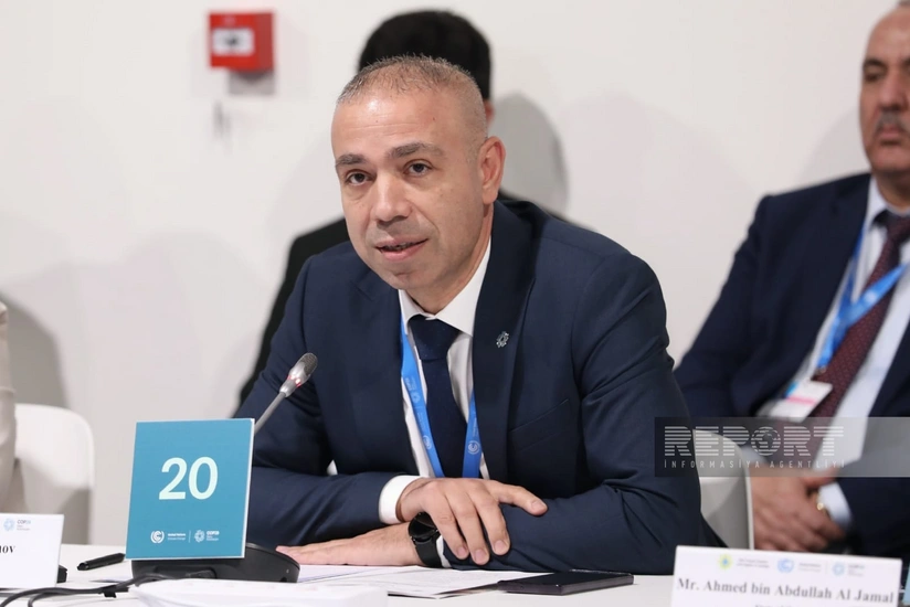 Soltanov: Customs authorities may direct part of their revenue to environmental projects