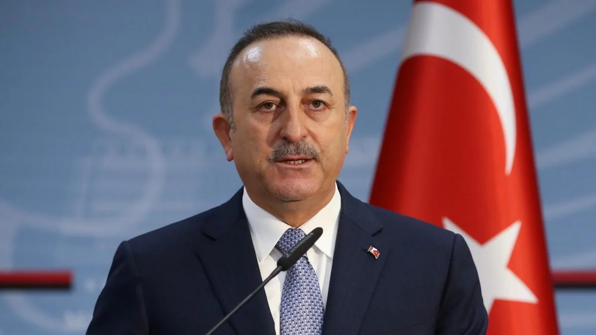 Mevlut Cavusoglu: I hope Armenia will draw a lesson from it