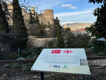 Görkəmli Azərbaycanlılar Panteonu: dostluq rəmzi - Tbilisi Botanika Bağından REPORTAJ