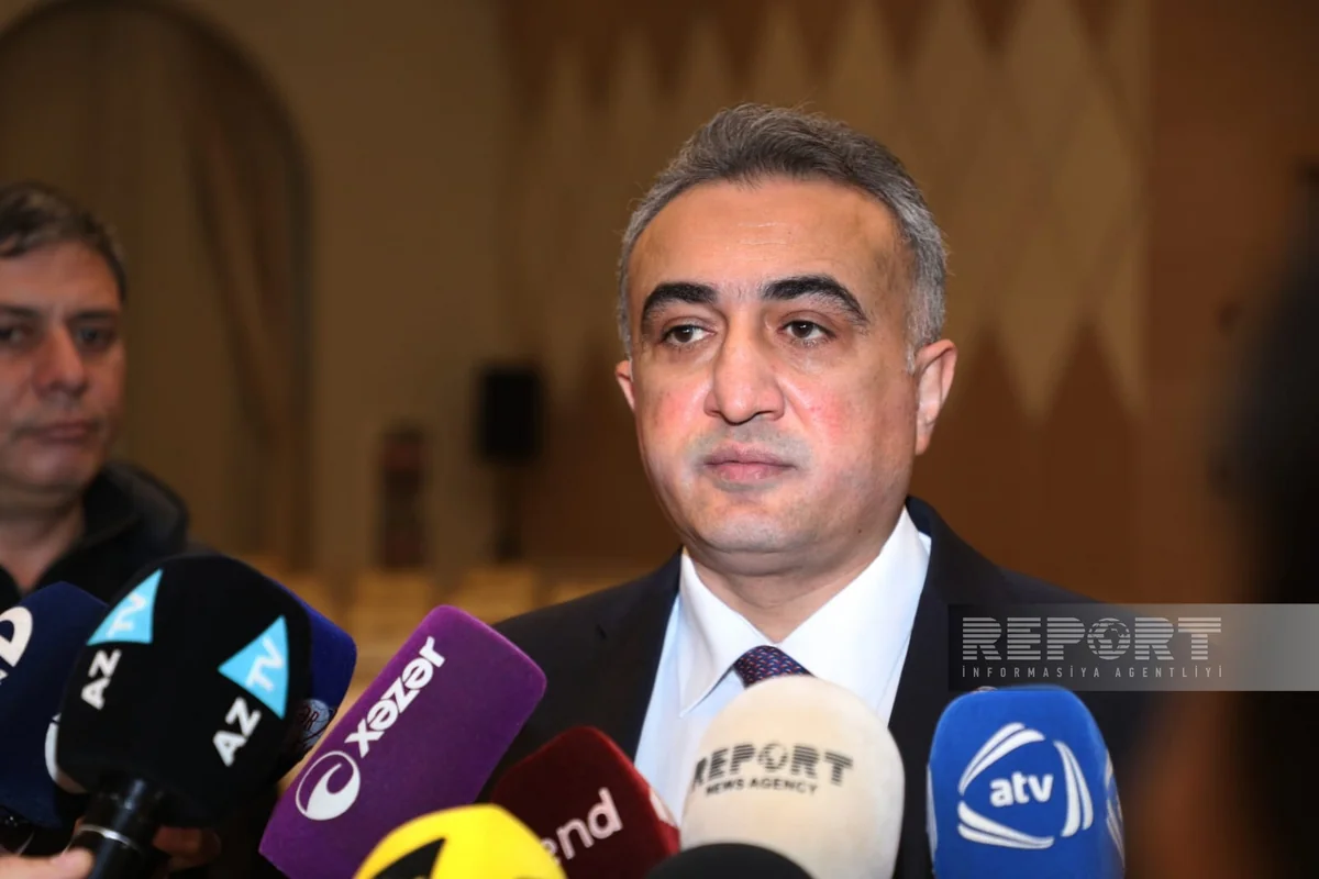 Anar Bağırov: “Formal vəkilliklə məşğul olan bir neçə vəkil intizam tənbehi tədbirinə cəlb olunub”