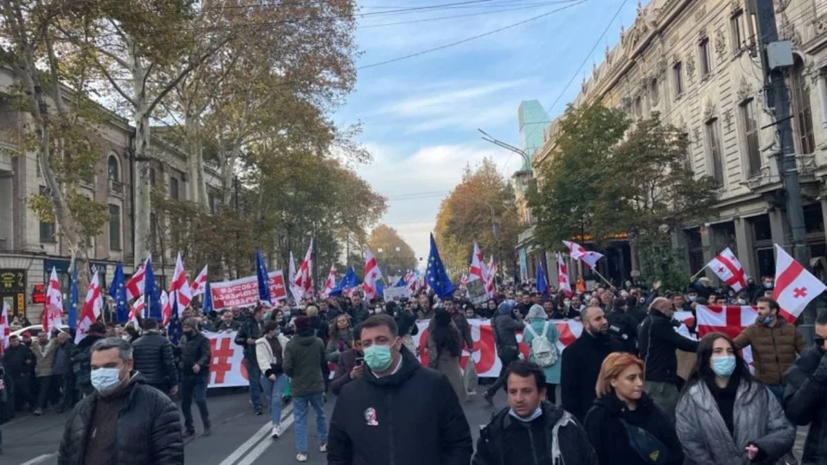 Saakashvili's supporters hold next protest action in Tbilisi