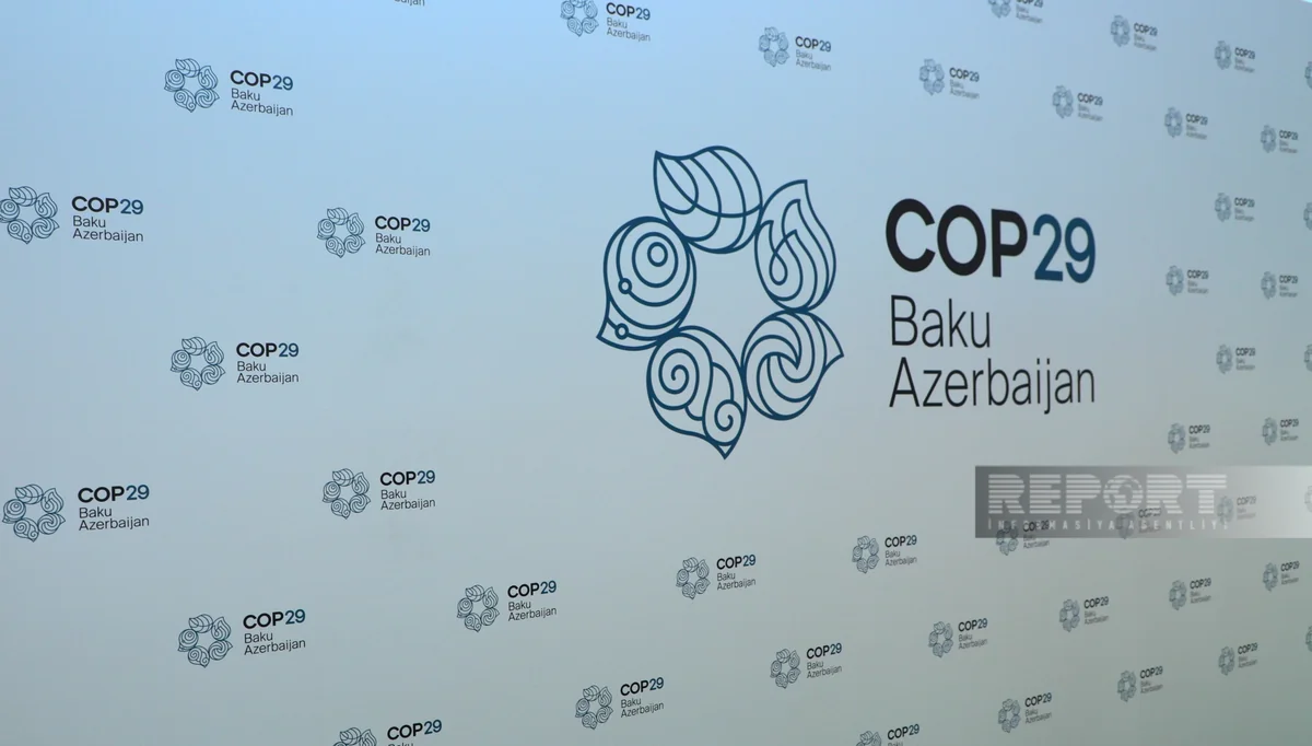 COP29 can be a corner stone towards climate goals, expert says