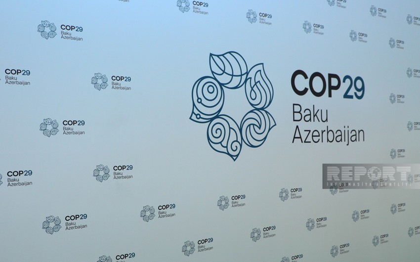 Ekspert: COP29 iqlim məqsədlərinə çatmaqda təməl daşı ola bilər