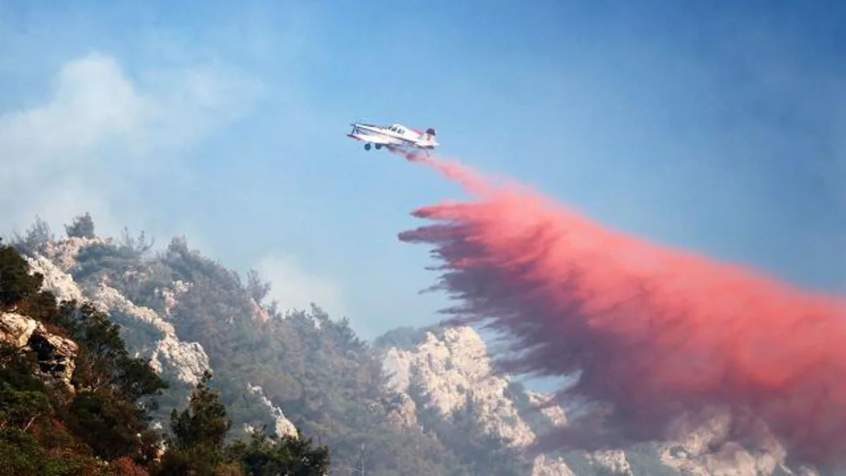 19 injured in wildfire in Turkiye
