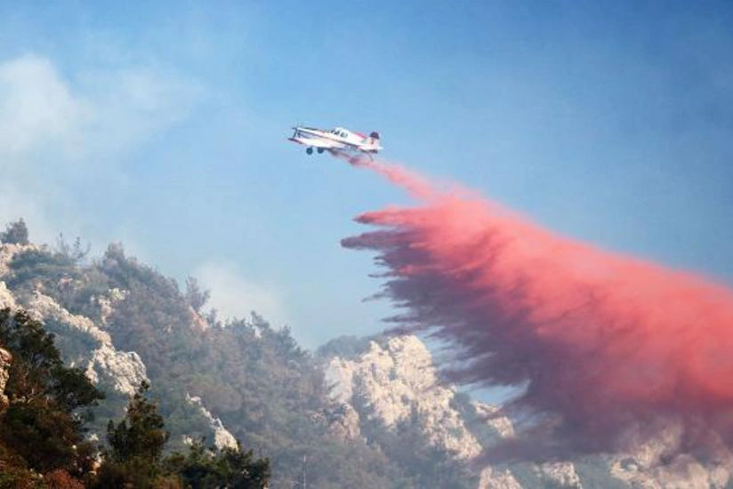 19 injured in wildfire in Turkiye