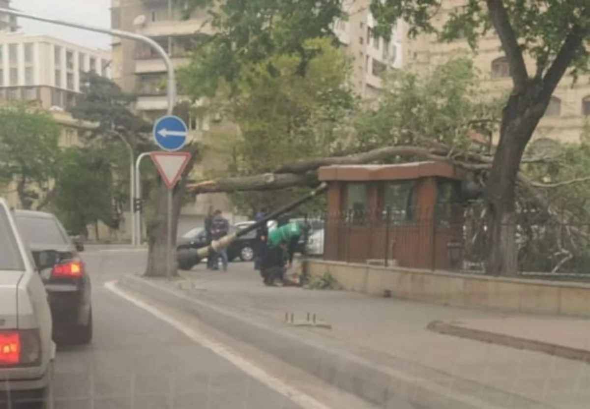 Güclü külək Bakıda fəsadlar törədib
