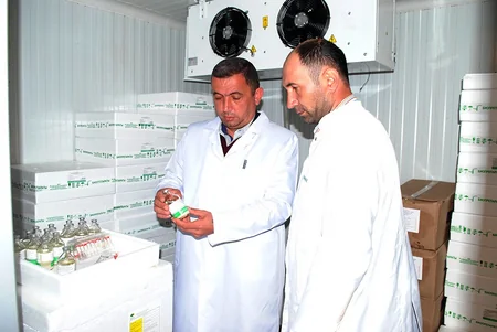 Qazaxda heyvanlar arasında profilaktik peyvəndləmə tədbirləri davam etdirilir