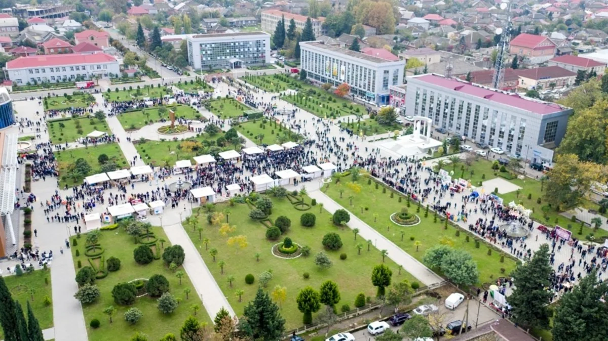 Lənkəranda III Çay, Çəltik, Sitrus Festivalı keçiriləcək - FOTO - VİDEO