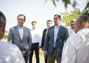 Məcnun Məmmədov Şamaxıdakı müəssisələrin fəaliyyəti ilə tanış olub