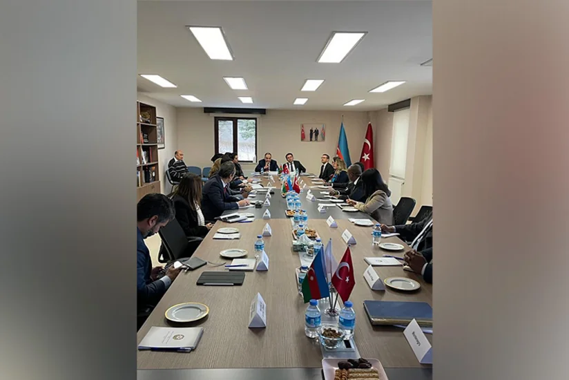 Türkiyədə Qoşulmama Hərəkatına üzv ölkələrin nümayəndələri ilə görüş keçirilib