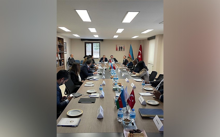 Türkiyədə Qoşulmama Hərəkatına üzv ölkələrin nümayəndələri ilə görüş keçirilib