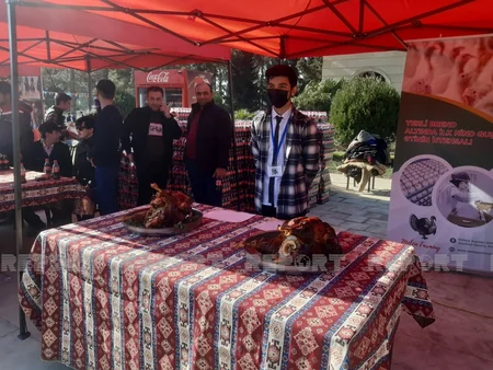 Biləsuvarda hind toyuğu festivalı keçirilib