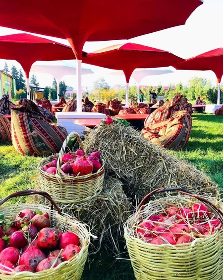 Göyçayda ənənəvi “Nar Festivalı” keçirilib